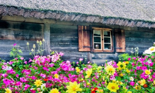 Zdjecie POLSKA / Warmia / Olsztynek / skansen