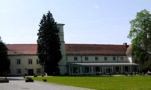 Zdjcie POLSKA / dolnolaskie / Trzebieszowice / Dziedzinec zamku na Skale