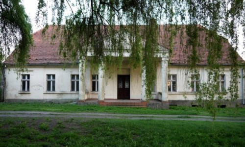 Zdjecie POLSKA / wielkopolska / Baby / Malowniczy Dwr