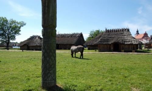 Zdjęcie POLSKA / zachodniopomorskie / Wolin / Centrum Słowian i Wikingów, Wolin