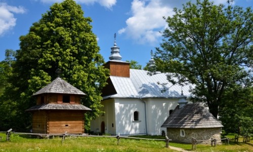 Zdjecie POLSKA / Podkarpacie / Bieszczady, opienka / Korzenie Przeszoci