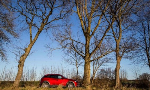 Zdjecie POLSKA / Sowiski Park Narodowy / Czopin / SlowRoadByMazda