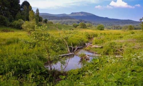 Zdjecie POLSKA / Podkarpacie / Bieszczady / Kije, Boto I Chabazie