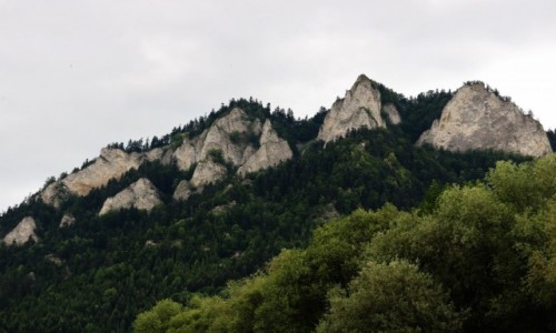 Zdjecie POLSKA / Pieniny / Masyw Trzy Korony / Na Ogrdki, Okrglica i Paska Skaa