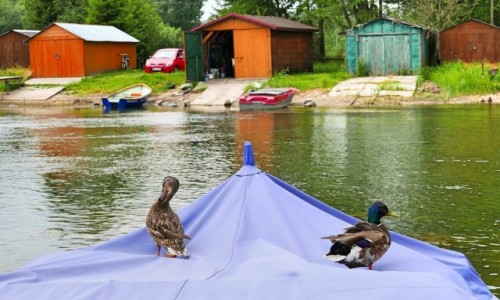 Zdjecie POLSKA / Mazury / Pisa / Mazurskie klimaty - taka jestem niemiaa