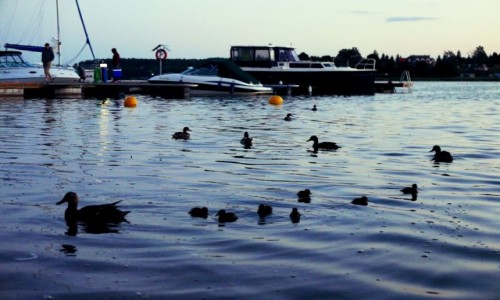 Zdjecie POLSKA / Mazury / Taty / Mazurskie klimaty - No dzieciaki, kolacja i spa