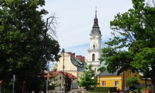 Zdjecie POLSKA / Kujawy / Brdw / Sanktuarium Matki Boej Zwyciskiej