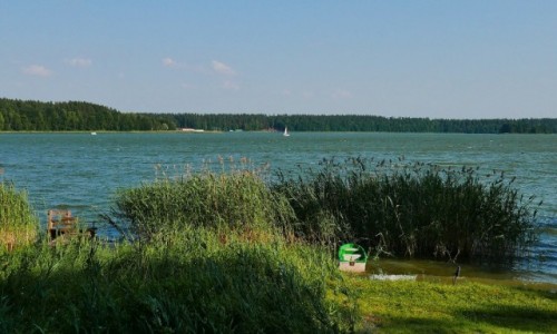 Zdjcie POLSKA / Mazury  / Bedany / Mazurskie klimaty - w trzcinkach
