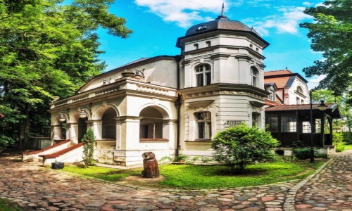 Zdjcie POLSKA / Warmia / Olsztyn / Muzeum Przyrody