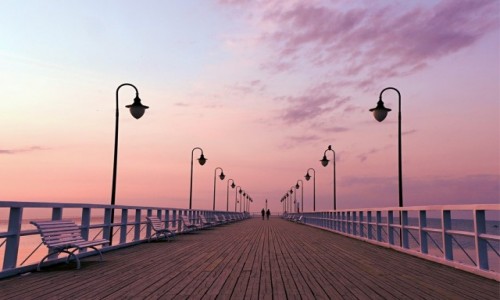 Zdjecie POLSKA / Pomorze / Gdynia Orowo / Tych dwoje i ptak