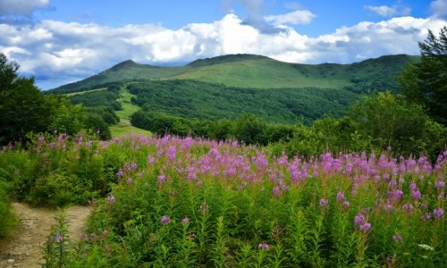 Zdjecie POLSKA / Podkarpacie / Bieszczady / Przez Wierzbwk