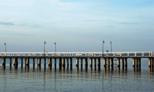 Zdjcie POLSKA / Pomorze / Gdynia Orowo / Socem malowane