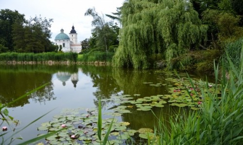Zdjecie POLSKA / Podkarpacie / Krasiczyn / Krasiczyski Park