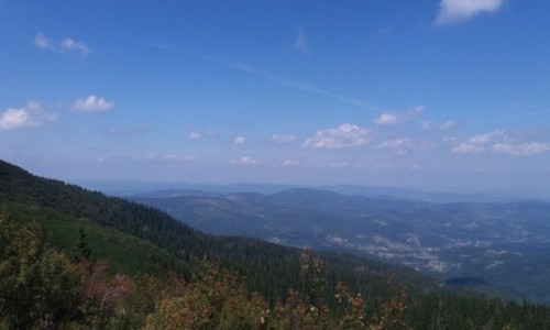Zdjecie POLSKA / - / Babia Gra / Babia Gra