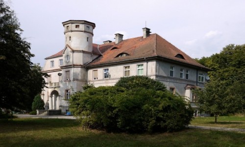 Zdjcie POLSKA / opolskie / Kopice / Paac willa, zarzdcy dyrektora