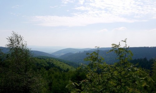 Zdjecie POLSKA / dolnoslskie / Rybnica Lena / Widok na Gry Suche