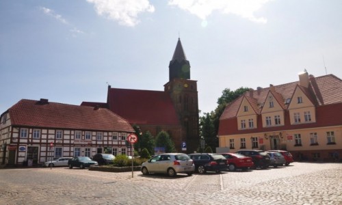 Zdjcie POLSKA / zachodniopomorskie / Maszewo / Maszewo, koci przy rynku 