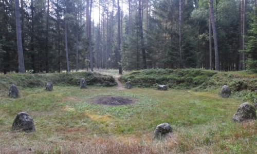 Zdjcie POLSKA / zachodniopomorskie / Grzybniczka / Krg nr V w Rezerwacie Kamienne Krgi w Grzybnicy