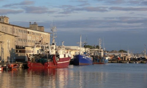 Zdjecie POLSKA / Wybrzee / Hel / Port