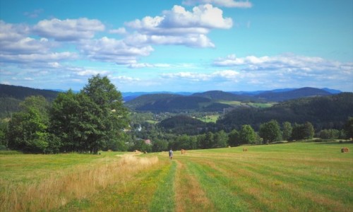 Zdjecie POLSKA / Dolny lsk / Leszczyniec / szkoda lata...
