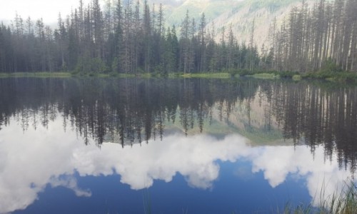 Zdjecie POLSKA / Tatry / Tatry / TATRY