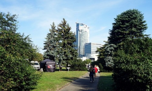 Zdjcie POLSKA / Pomorskie / Gdynia / Park Europy