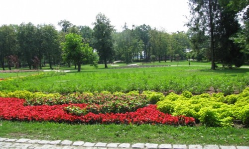 Zdjcie POLSKA / lask / Goczakowice / Park Zdrojowy w Goczakowicach