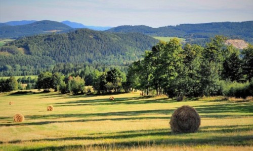 Zdjcie POLSKA / Rudawski Park Krajobrazowy / Leszczyniec / penia lata...