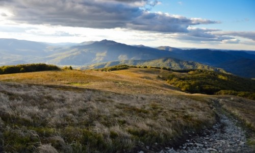 Zdjecie POLSKA / - / Bieszczady / W Socu I W Cieniu