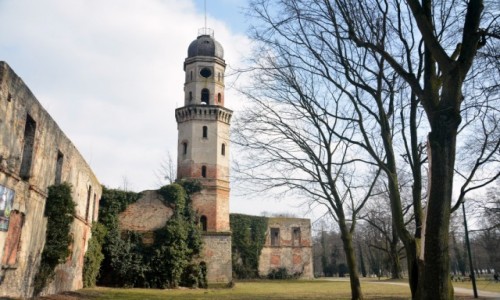 Zdjęcie POLSKA / Opolskie / Strzelce Opolskie / Zamek książąt piastowskich