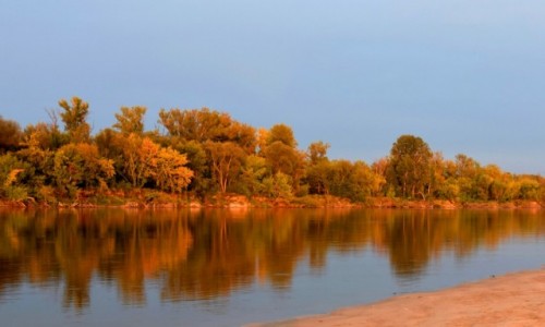 Zdjęcie POLSKA / woj. mazowieckie / gdzieś na wyspie za Zakroczymem / Kolory wieczoru