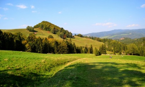 Zdjecie POLSKA / Pieniny / Szlak na Wysok / Powoli nadciga jesie