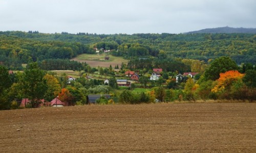 Zdjecie POLSKA / Kaszuby / Ostrzyce / Jesie