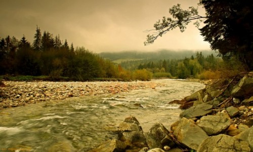 Zdjcie POLSKA / Zakopane / Dolina Chochoowska / Mglista Dolina
