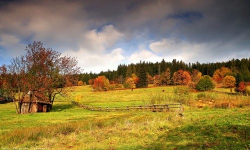 Zdjcie POLSKA / Zakopane / Kocielisko / Wie podhalaska