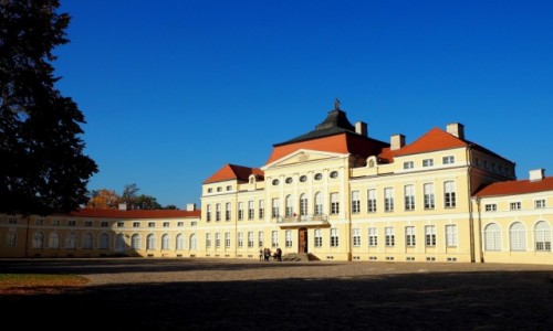 Zdjecie POLSKA / Wielkopolska / Rogalin, Paac Raczyskich / w porannym socu...