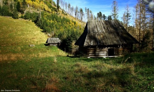 Zdjcie POLSKA / Zakopane / Ninia Polana Kominiarska / Polana reglowa w Tatrach Zachodnich