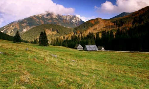 Zdjecie POLSKA / Zakopane / Polana Chochoowska /  Hala Chochoowska