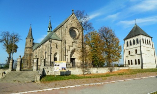 Zdjęcie POLSKA / pow. Opoczno. / Żarnów. / Ciekawostki z trasy (wczorajszej).