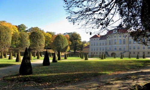 Zdjecie POLSKA / Wielkopolska / Rogalin, Paac Raczyskich / od strony ogrodw...
