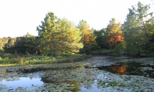 Zdjecie POLSKA / Podkarpacie / Bolestraszyce / Jesie w Arboretum