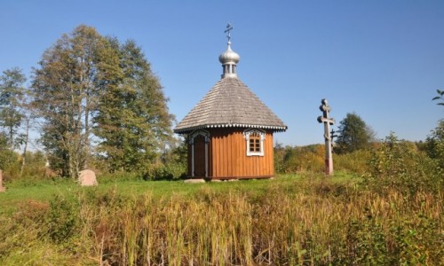 Zdjęcie POLSKA / podlaskie / Białowieża / Jesienna Białowieża