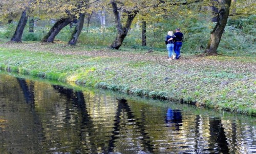 Zdjcie POLSKA / Podlasie / Choroszcz / Podlaska jesie.