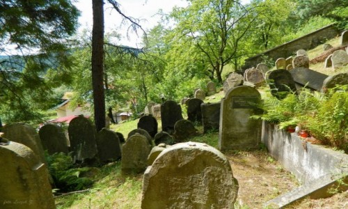 Zdjecie POLSKA / woj.maopolskie. / Muszyna. / Muszyna - Cmentarz ydowski Kirkut.