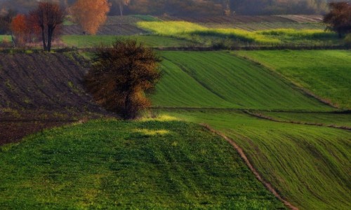 Zdjcie POLSKA / dzkie / ...... / Jesienna Wyyna dzka