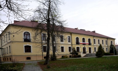Zdjcie POLSKA / opolskie / Lewin Brzeski / Paac, widok od strony parku