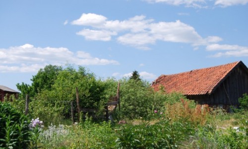 Zdjecie POLSKA / Warmia i Mazury / Butryny k.Olsztyna / zapomniane ....