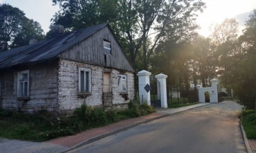 Zdjecie POLSKA / Lubelszczyzna / Janw Podlaski / Na granicy dwch wiatw