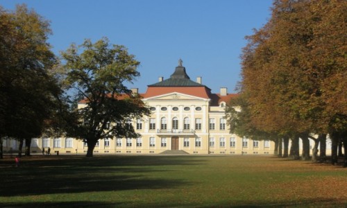 Zdjecie POLSKA / Wielkopolska / Rogalin, Paac Raczyskich / wart odwiedzin..