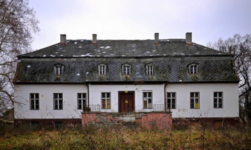 Zdjcie POLSKA / opolskie / Komorno / Dwr od strony parku.